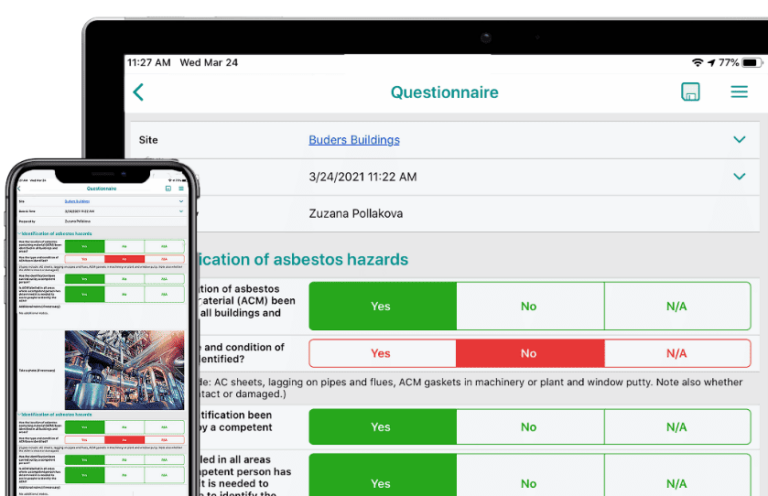Printscreen from a questionnaire